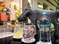 Mercure Johannesburg Midrand Hotel