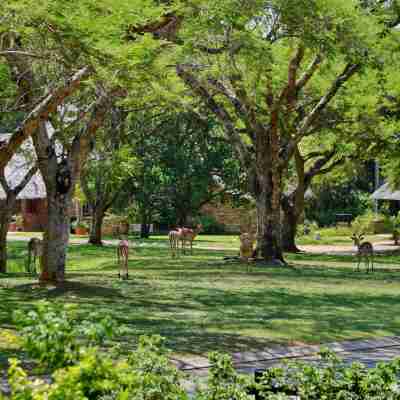 Cambalala - Luxury Units - in Kruger Park Lodge - Serviced Daily, Free Wi-Fi Hotel Exterior