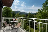 Leonardo Royal Hotel Baden-Baden Hotels in Forbach