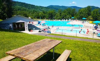 a group of people gathered around a pool , enjoying their time in the sun and water at Graves Mountain Farm & Lodges