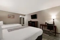 SureStay Plus Hotel by Best Western San Antonio North Hotels in Windcrest
