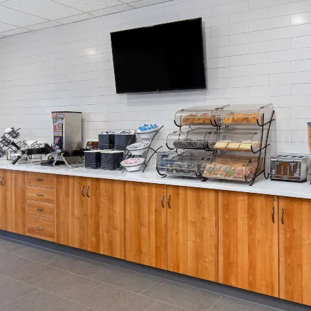 Microtel Inn & Suites by Wyndham Opelika