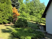 Jahor Hotels in 
