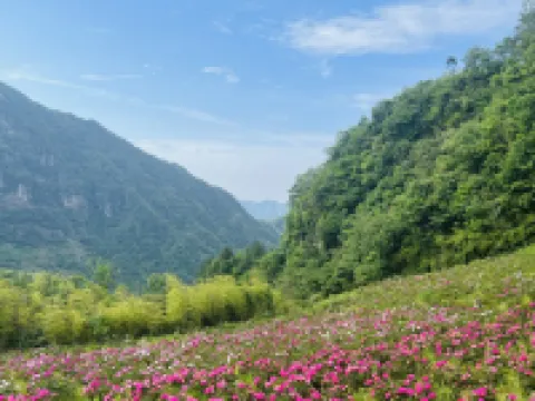 Hexi Yun She Pingli İlçesi otelleri