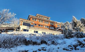 Hotel Bergsonne Rigi