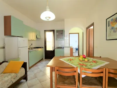 Oasis 1