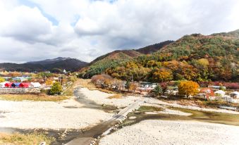 9. 로얄파크..