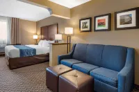 Comfort Inn & Suites Napoleon - piscina