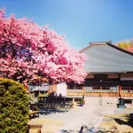Villa Imaihama