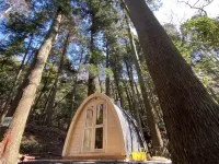 Washinmura Futtsu otelleri