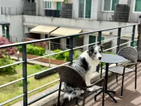 Pangyo D Terrace