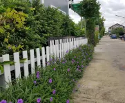 Natharinee Residence Hotel a Krathum Baen