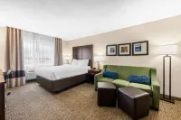 Comfort Inn & Suites Pueblo - que admiten mascotas