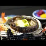 Syowakan Hotels in Wakasa