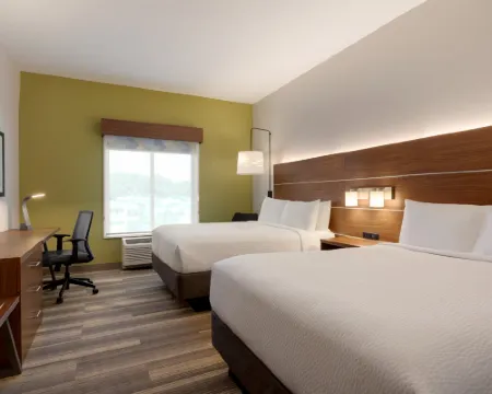 ホリデイ イン エクスプレス & スイーツ ダルトン - ウォールナット アベニュー by IHG ドールトンのホテル