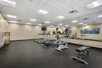 Best Western Plus Lakeview Hotel - gimnasio