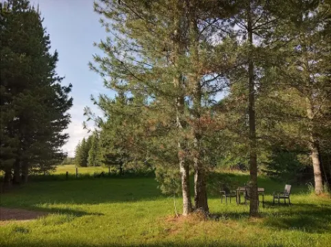 Little house in the woods, close to the lake,town and mountain.