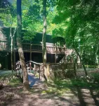 Cozy cabin sitting directly on multiple creeks for the most relaxing stay.
