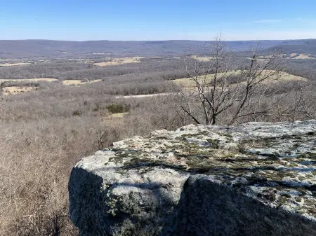 A Hikers Delight!  Exclusive Access to Hike 192 Acres in the Ozark Mountains. Отели в г. Carroll County