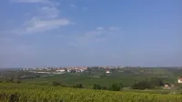 Holidays in the idyllic wine-growing village near Freinsheim 보벤하임암베르크 호텔