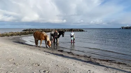 Comfortable, ground-floor vacation apartment with terrace and garden to make you feel at home.