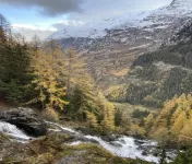 Chalet Victoria Hoteles en Sainte-Foy-Tarentaise