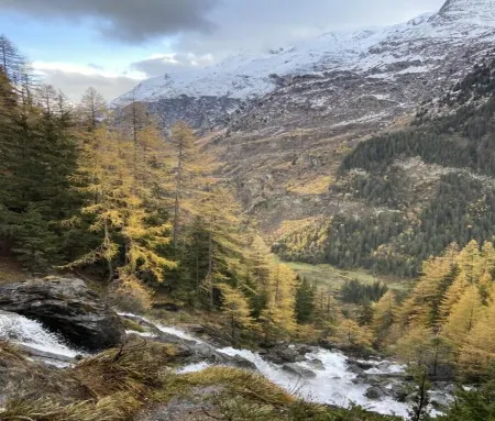 Chalet Victoria Отели в г. Сент-Фуа-Тарантез