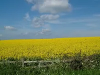 Studio With Uninterrupted Views Of Romney Marsh. Visit Rye Hythe and Canterbury