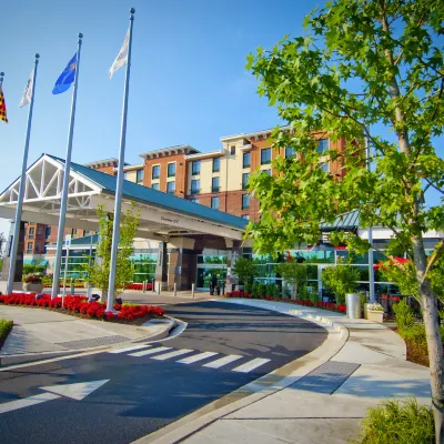 Homewood Suites by Hilton Rockville- Gaithersburg Hotels near The Square at Rockville