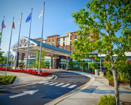 Homewood Suites by Hilton Rockville- Gaithersburg Hotels in Rockville