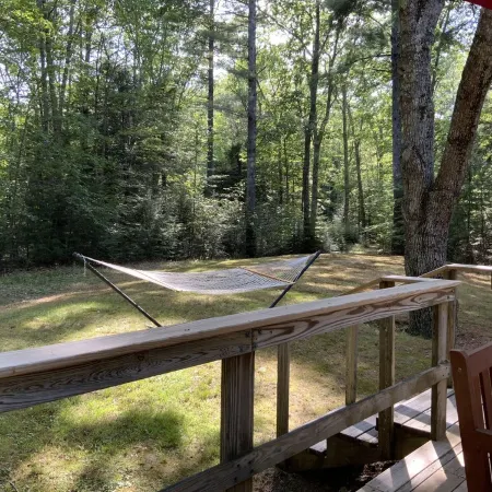 Cozy cottage in woodland setting near to hiking biking and lakes