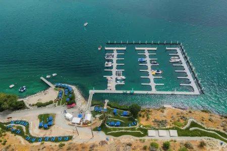 Outdoor Heater & Covered Patio, Paddle Boards, Fire Table, Bikes, Outdoor Games