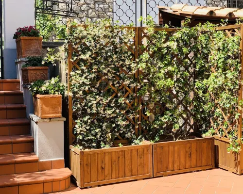 Felicia's corner studio apartment 2 steps from the sea Hotels in Nerano