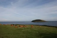 Lanescot, 1,Harbour View Apartments, North Road, West Looe