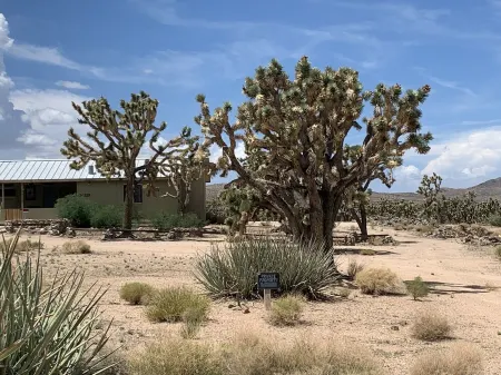 Stunning Views! Rustic cabin facing the base of Grand Canyon West
