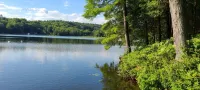 Lakefront Rustic 1930s dog friendly Cabin w/lg screened porch near Lake George