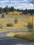 Rustic Small Cabin in the Black Hills of Wy. Snowmobile right out the drive!