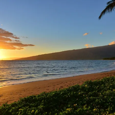 Best Oceanfront Value in Kihei - Kealia Resort!