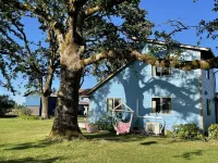 Alpaca Farm Retreat