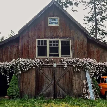 Cottage-in-the-Barn on Dragonfly Farm