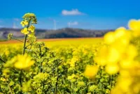 Ferienwohnung im Südlichen Westerwald, Barrierefrei, mit Terrasse, Garten, Sauna