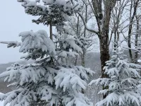 Mountain Song - Villa with a View Hotels in Beech Mountain