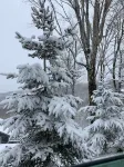 Mountain Song - Villa with a View
