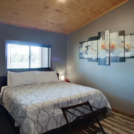 Private Hot Tub! KING Size Bed Traverse City 18 miles *Crystal Mountain 17 miles Отели в г. Интерлошен