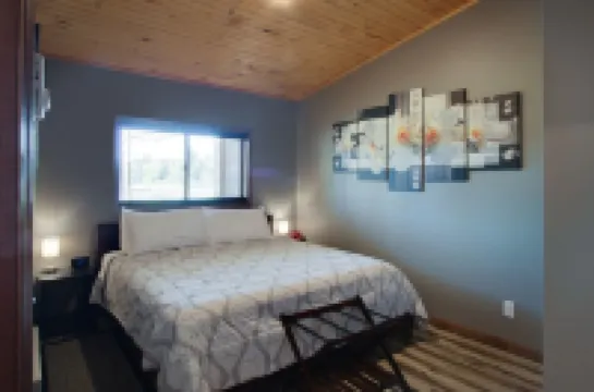 Private Hot Tub! KING Size Bed Traverse City 18 miles *Crystal Mountain 17 miles