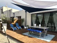 OLIVE TREES OF MAS BLUE BETWEEN NIMES AND MONTPELLIER