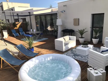 OLIVE TREES OF MAS BLUE BETWEEN NIMES AND MONTPELLIER