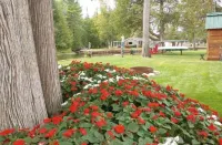 Riverfront Cottage w/ Boat Docking and easy access to Burt Lake