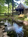 Peaceful & Serene  🦌 Cozy Hillside Cabin  ☀️ Koi Pond 🐸 Pet Friendly 🐕