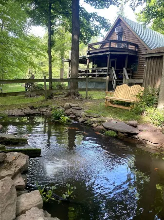 Peaceful & Serene  🦌 Cozy Hillside Cabin  ☀️ Koi Pond 🐸 Pet Friendly 🐕